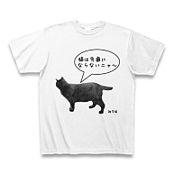 雑学猫～虫歯編～