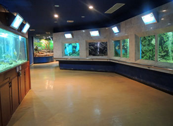 Jun23 Aquarium 4