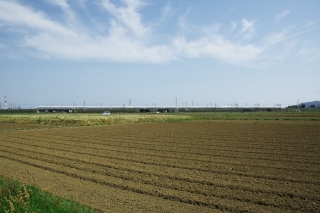 平塚市・豊田付近の一風景