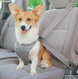 犬シートベルト