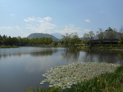 初夏の浅間山（H28,5)