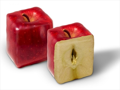 四角いリンゴ_R