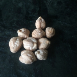 乾燥ヒヨコ豆
